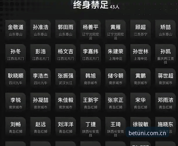 中国足协第三批禁足名单实用分析：从处罚力度看足球环境净化
